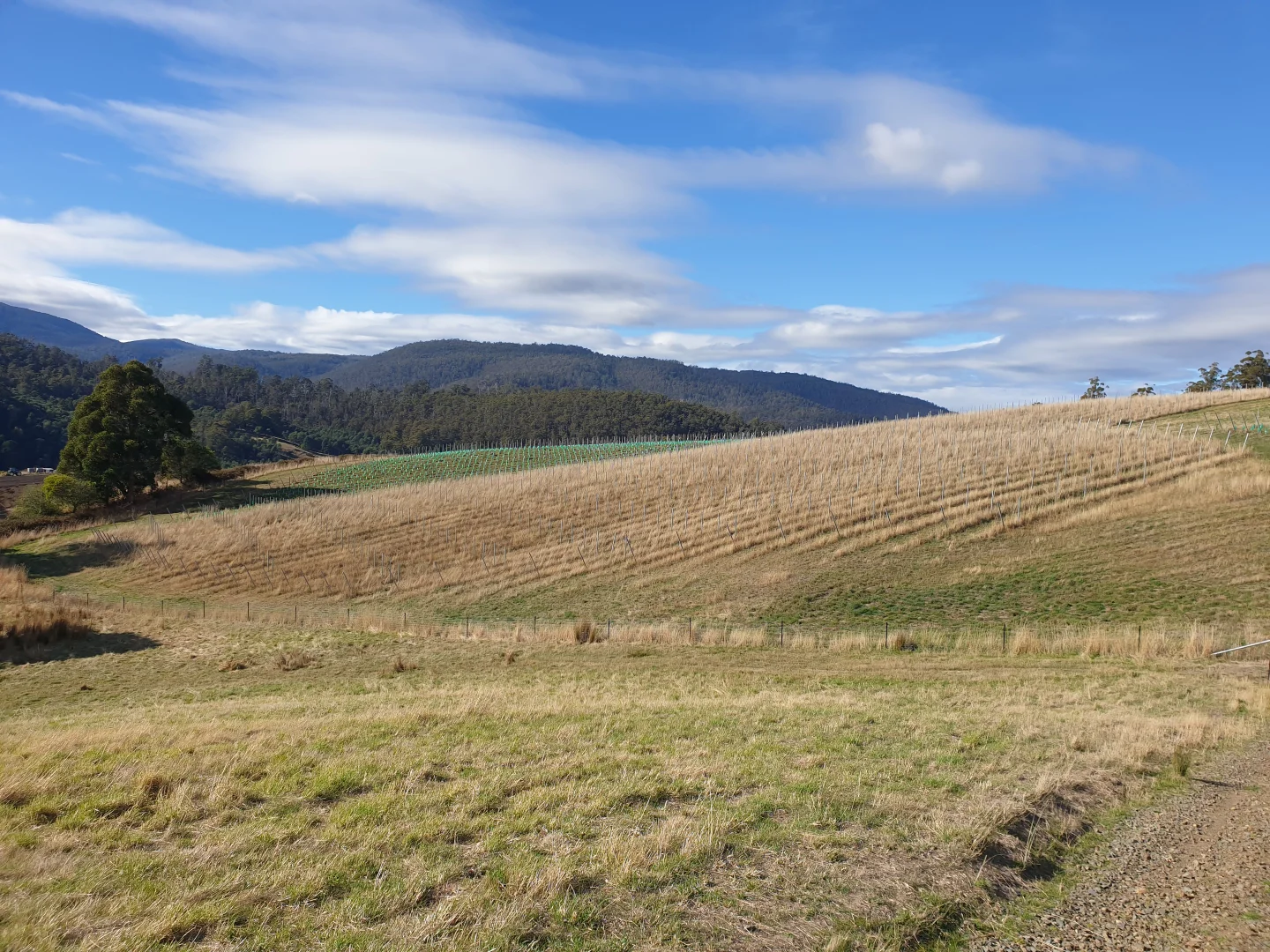 Additional image 5 of Lot 1 Wallace Road, Cygnet TAS 7112