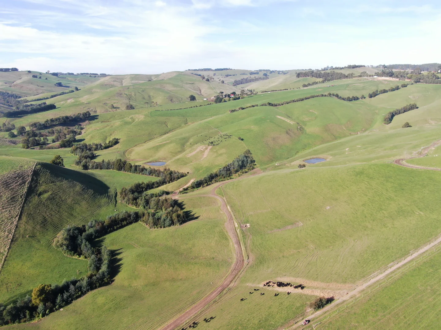 Additional image 24 of 55 Michie Road, Krowera VIC 3945