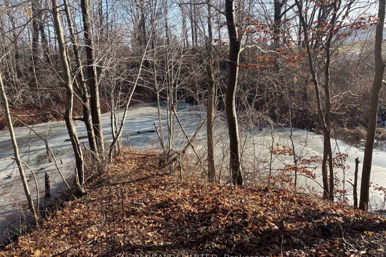 Additional image 4 of 46420 Methodist St. Street