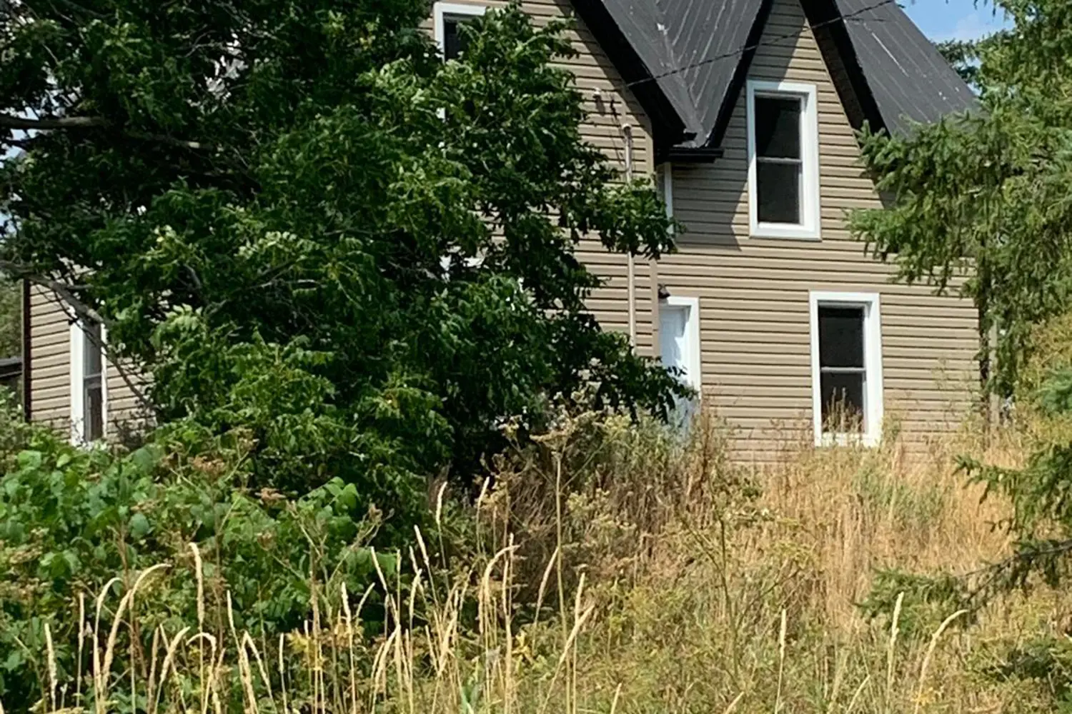 2673 County Rd 11 Road photo 5