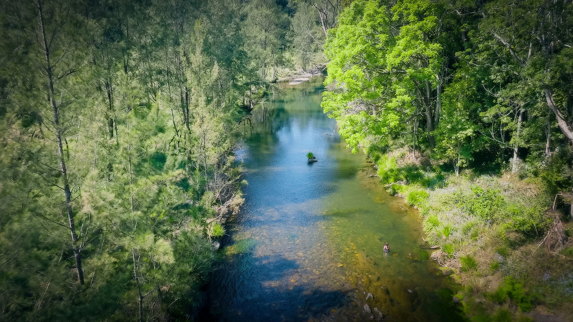 Additional image 43 of 1458 Darkwood Road, Bellingen NSW 2454