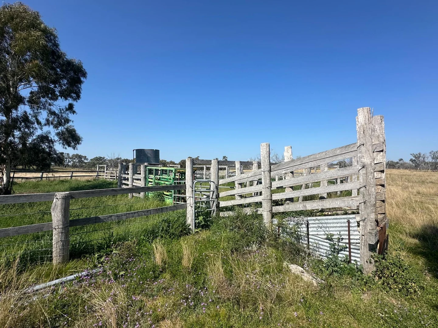 Additional image 11 of "Coolendoon" 810 The Pocket Road, Bukkulla NSW 2360