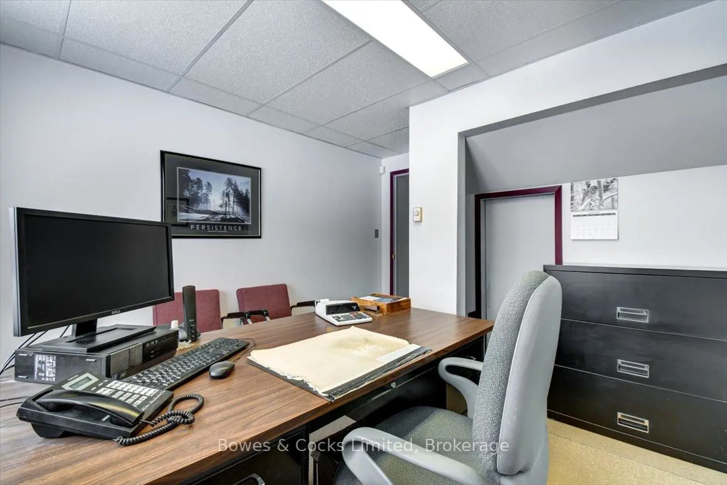 Additional image 7 of 339-341 Reid Street