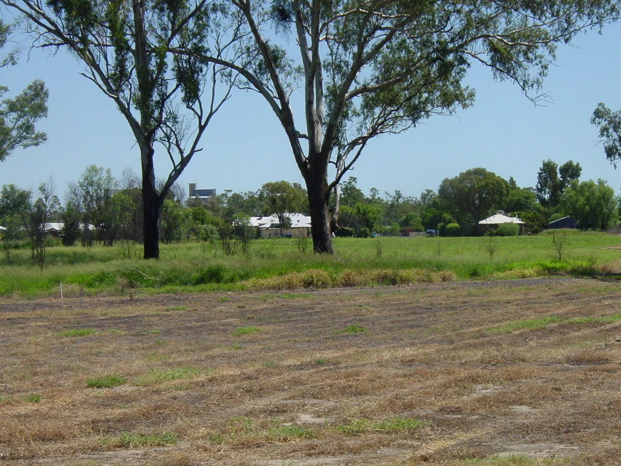 Additional image 18 of Corcoran - Sandalwood Drive, Goondiwindi QLD 4390