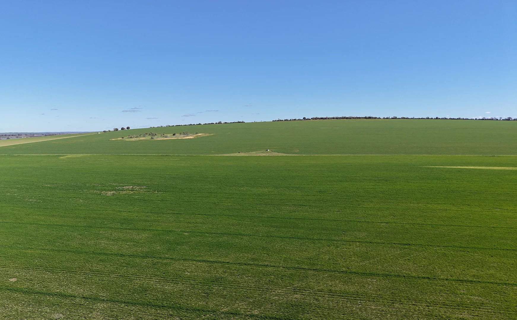 Additional image 16 of Quairading South Road, Dangin WA 6383