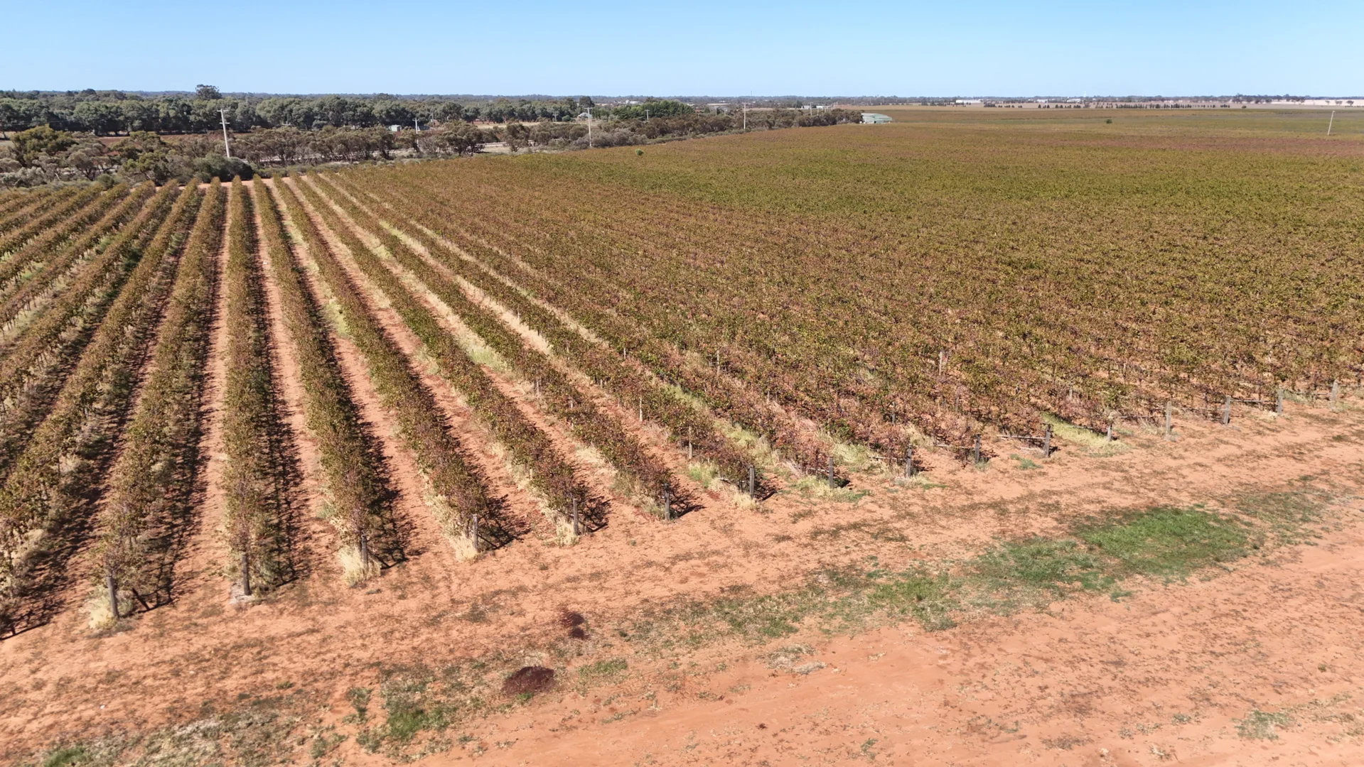 Additional image 31 of 595 Woorinen Road, Swan Hill VIC 3585