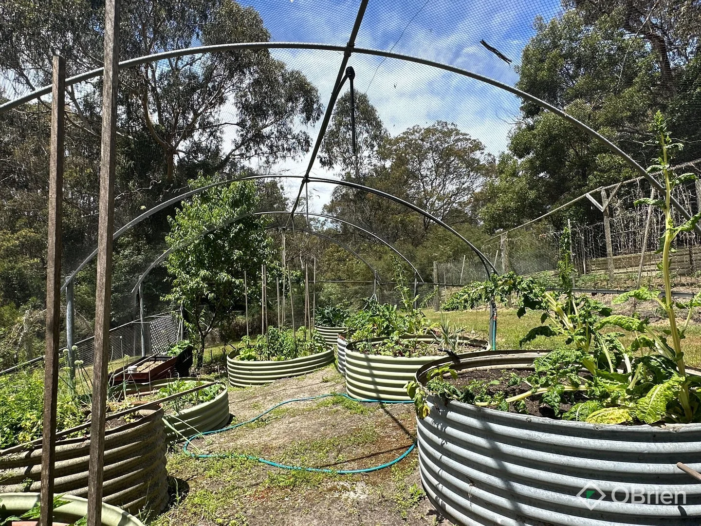 Additional image 24 of 54 Hunters Lane, Kalimna VIC 3909