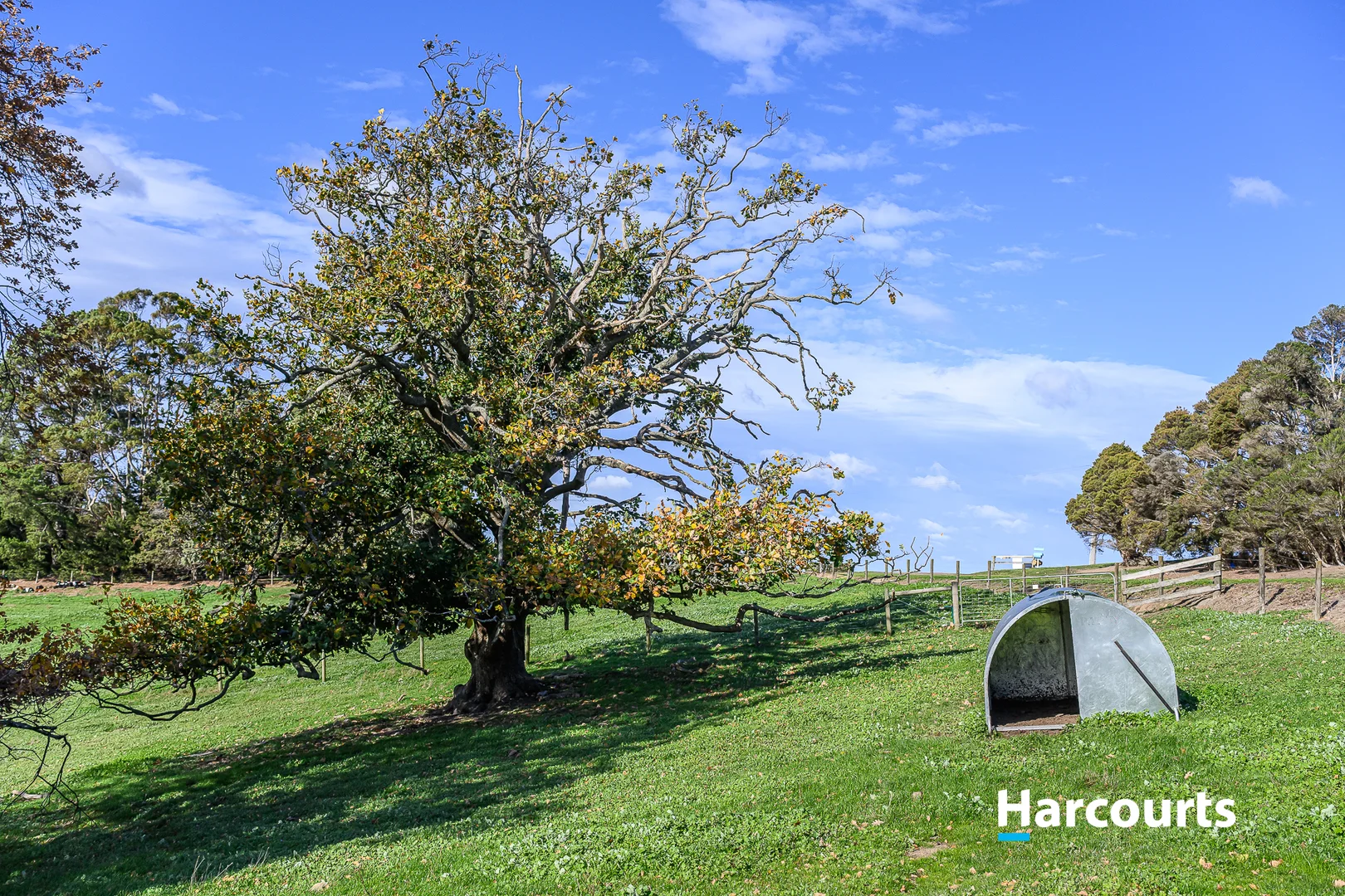 Additional image 44 of 37 Bells Road, Mount Eccles VIC 3953