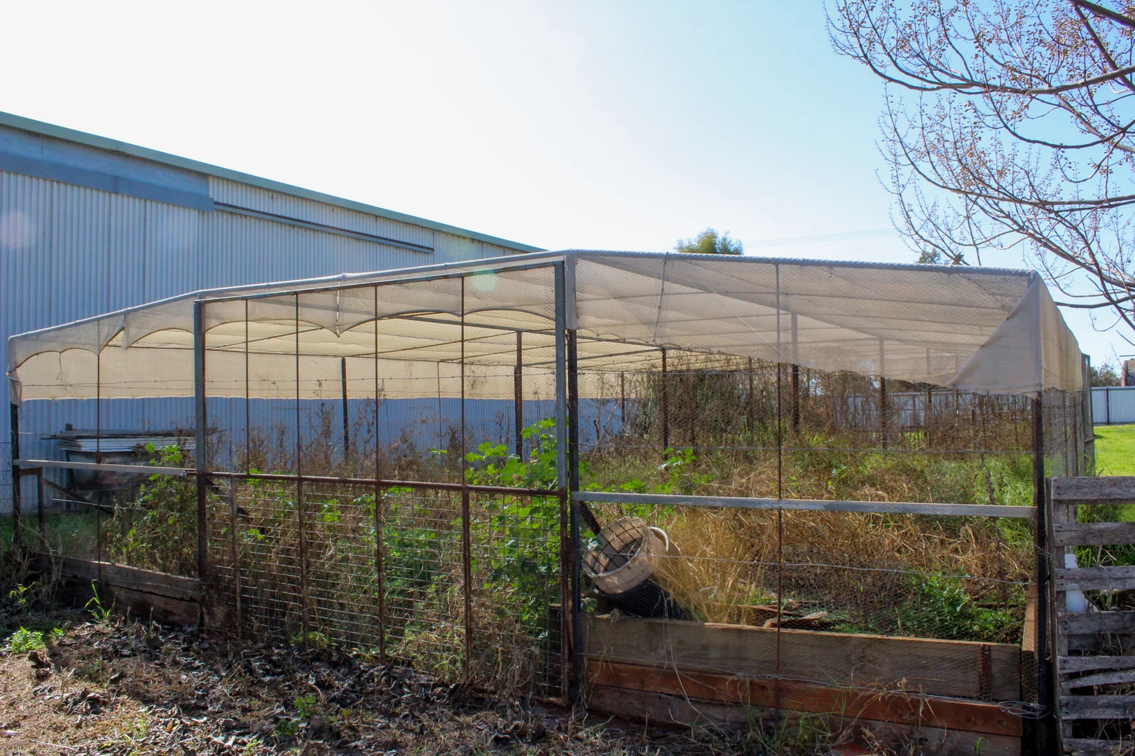 Additional image 6 of 8 Walker Street, Lake Cargelligo NSW 2672