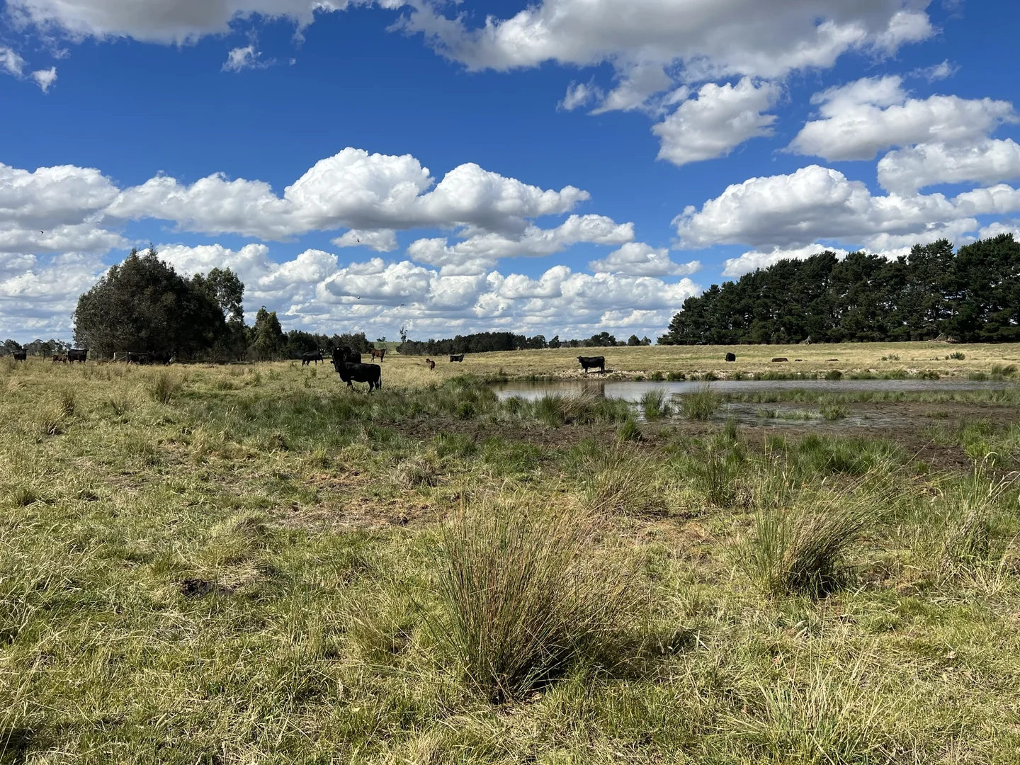 Additional image 23 of Lot 1 Mount Rae Road, Roslyn, Crookwell NSW 2583