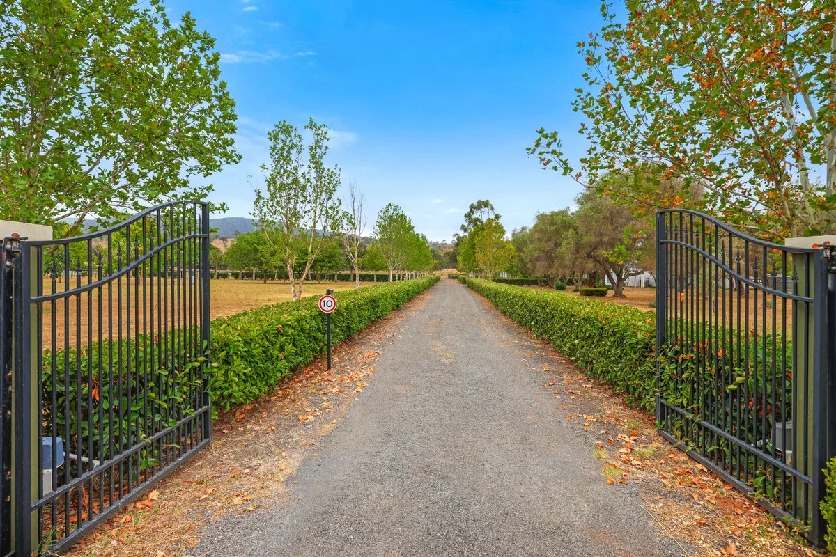 Additional image 3 of 164 Upper Dartbrook Road, Scone NSW 2337