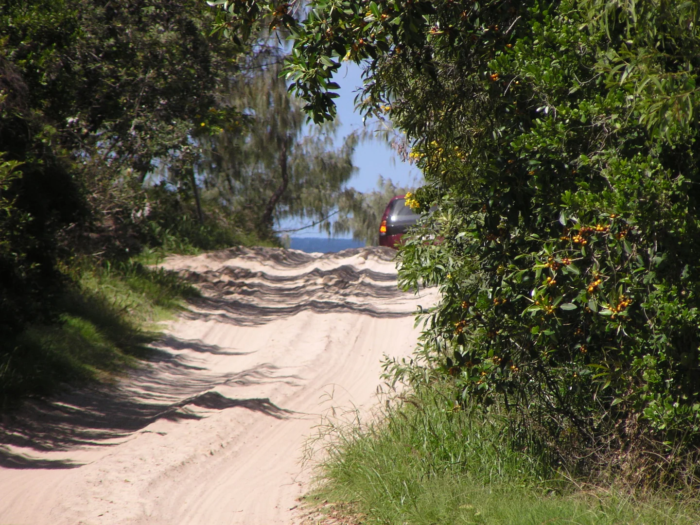 Additional image 10 of 16 Mackerel Street, Noosa North Shore QLD 4565