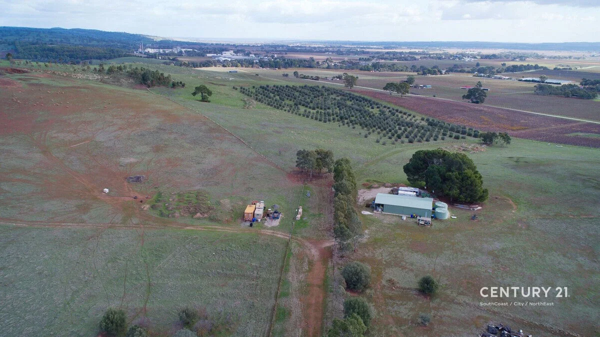 Additional image 11 of Lot 404 Richard Street, Penrice SA 5353