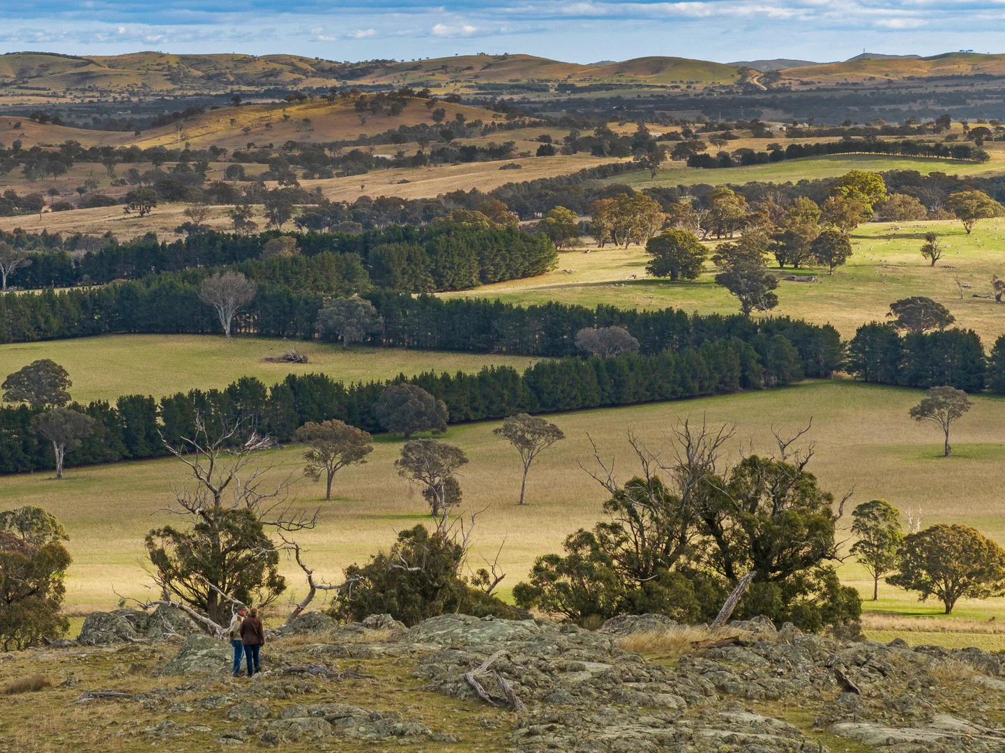 Additional image 20 of 1690 Cooks Hill Road, Yass NSW 2582