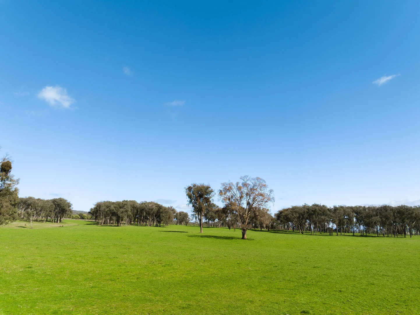 Additional image 7 of 1036 Taggerty - Thornton Road, Thornton VIC 3712