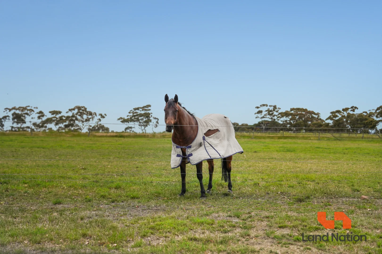 Additional image 11 of 268 Doolins Road, Darraweit Guim VIC 3756