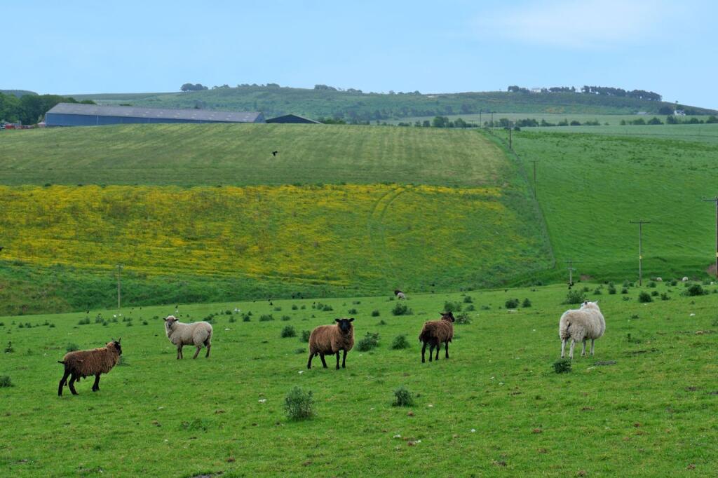 Additional image 12 of Upper Lynemore, Keith, AB55 5PT