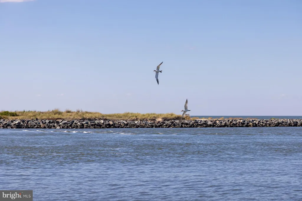 Additional image 72 of 21379 N Acorn Way, Lewes, DE 19958