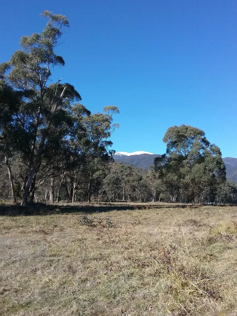 Additional image 21 of Smoko VIC 3741