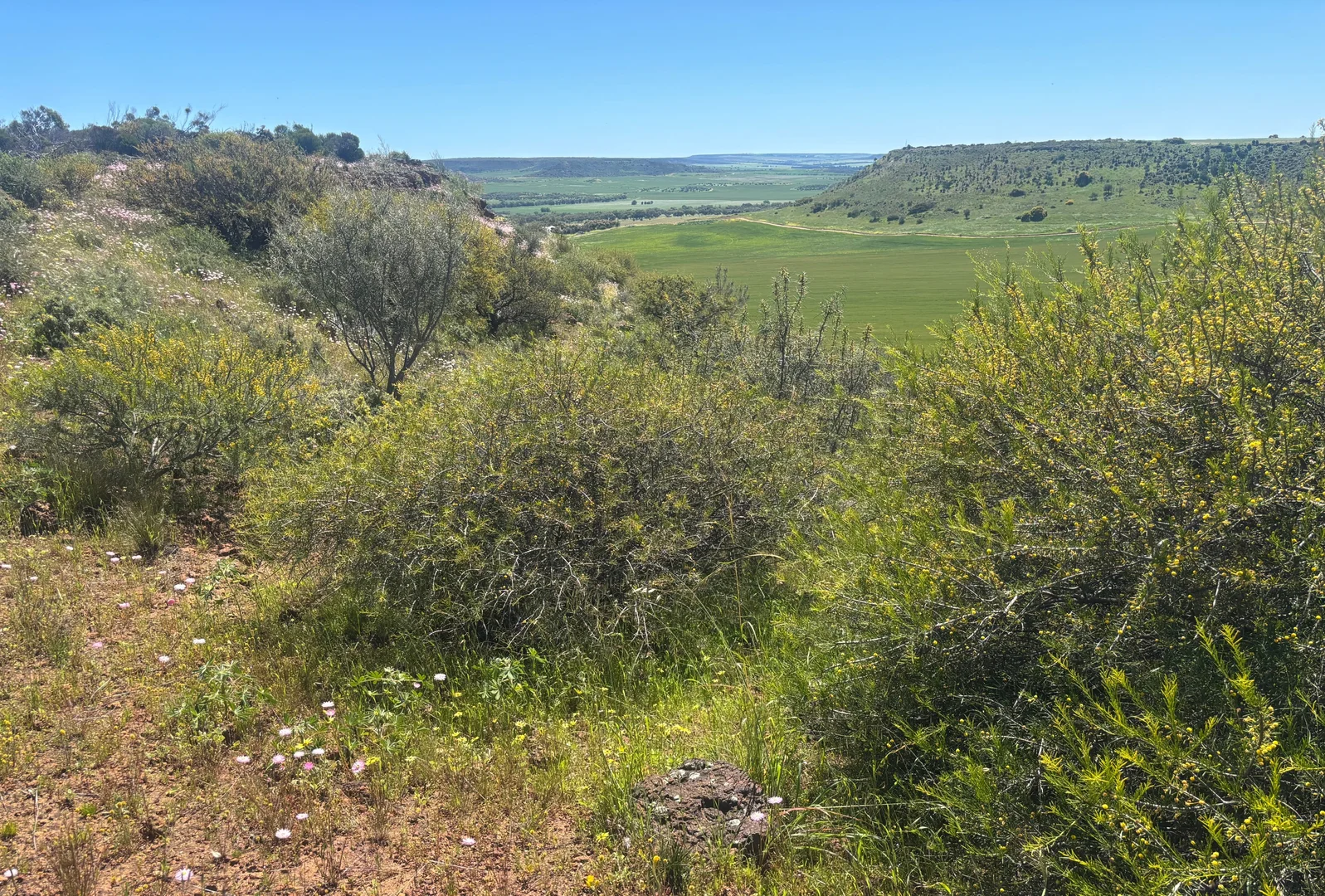 Additional image 18 of 9500 Chapman Valley Road, Narra Tarra WA 6532