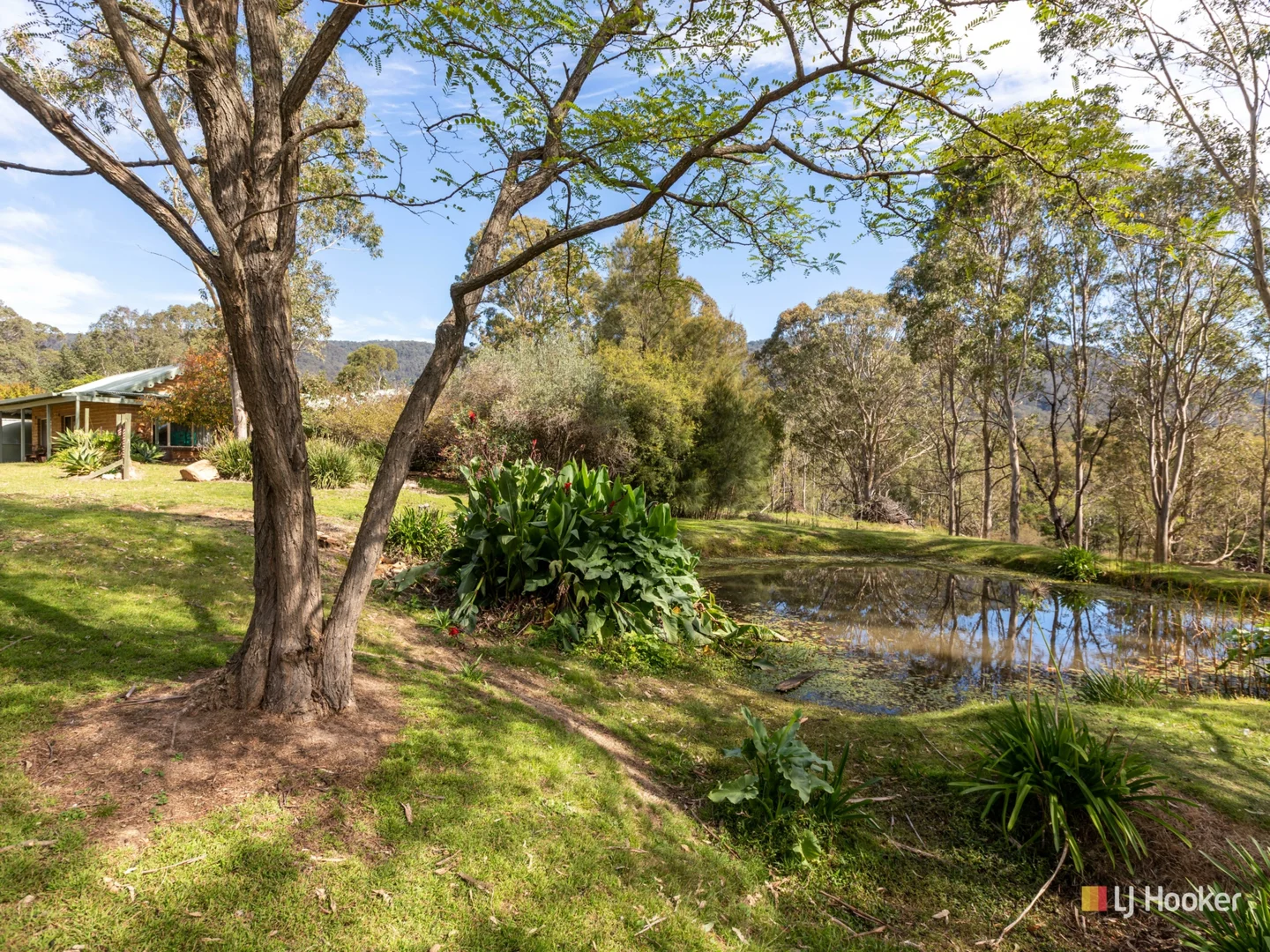 Additional image 13 of 1086 Furners Road, Bemboka NSW 2550