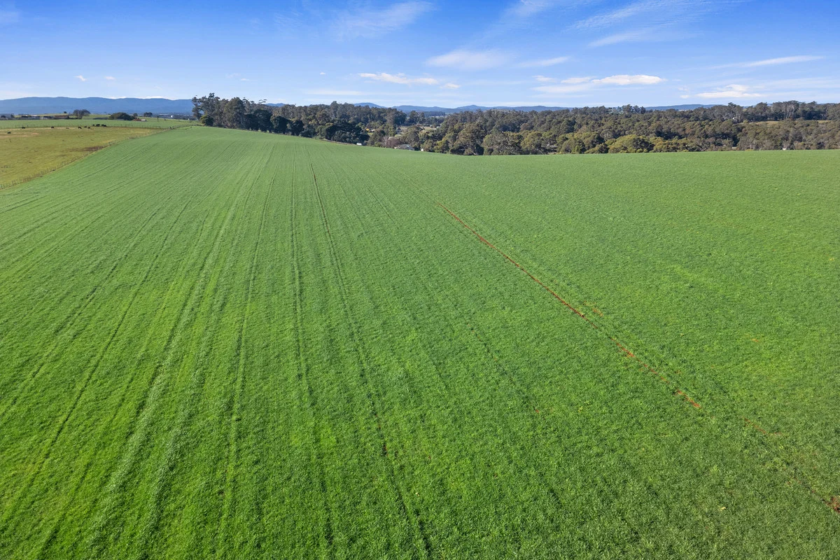 Additional image 3 of 301 Moriarty Road, Moriarty TAS 7307