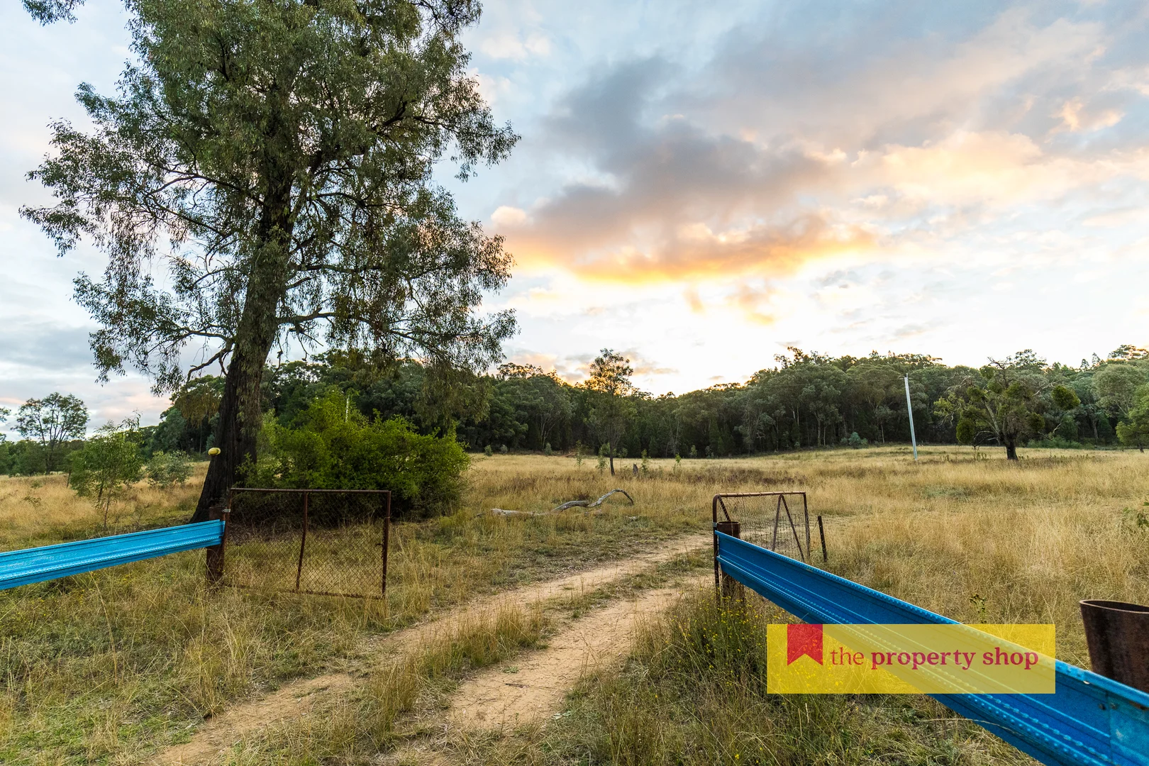 Additional image 11 of 306 Port Macquarie Road, Rylstone NSW 2849