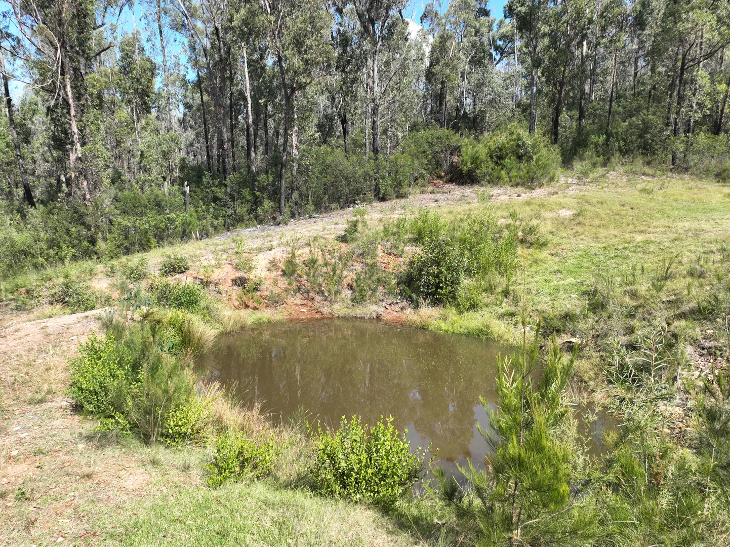 Additional image 17 of 38 Yarran Rd, Boydtown NSW 2551