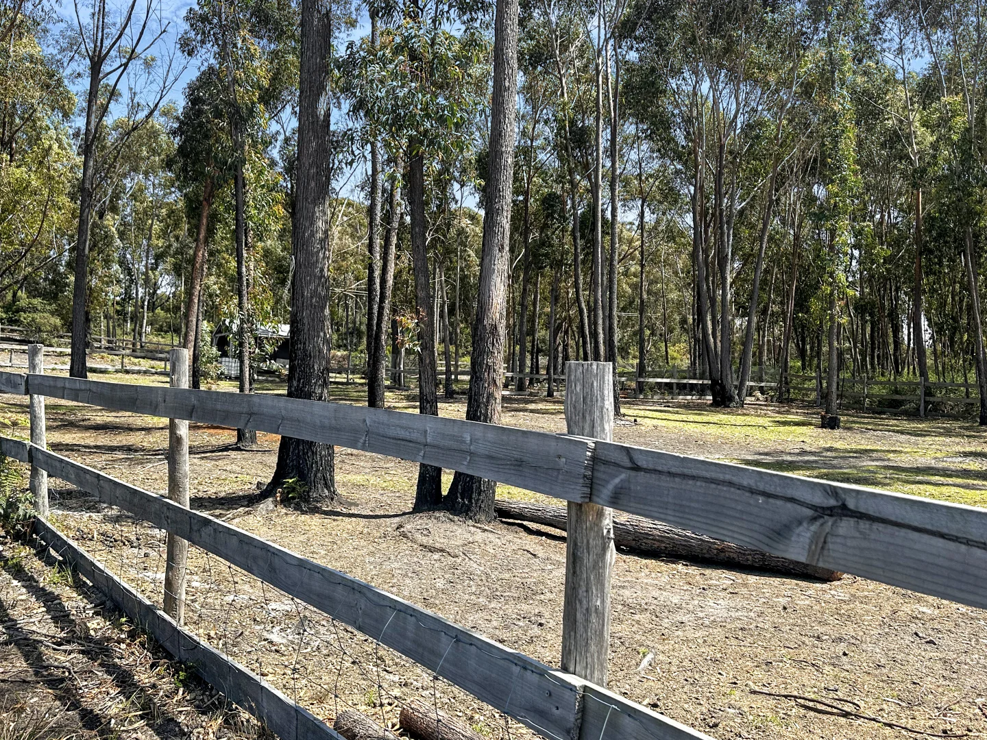 Additional image 18 of 80 McManus Drive, Falmouth TAS 7215