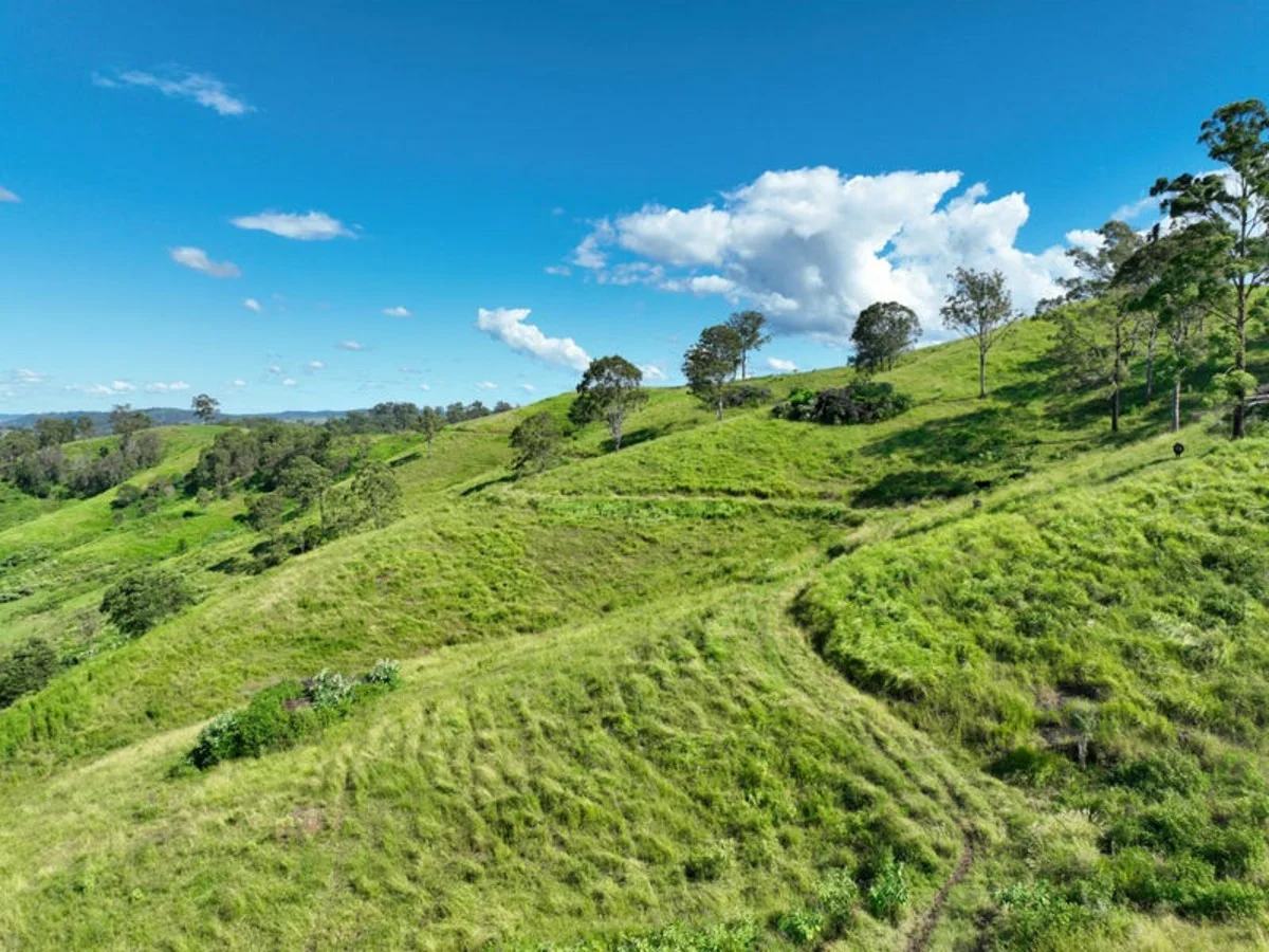 Additional image 4 of 59 Wyndham Road, Wyneden NSW 2474