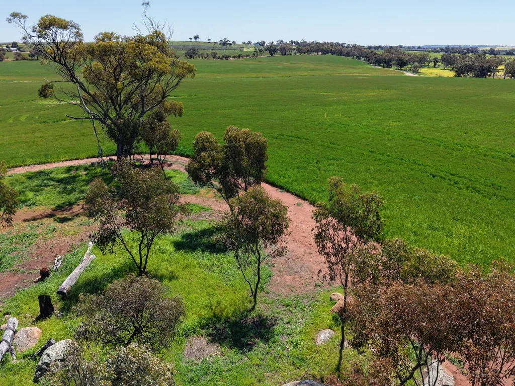 Additional image 39 of 1187 Dale - Kokeby Road, Kokeby WA 6304