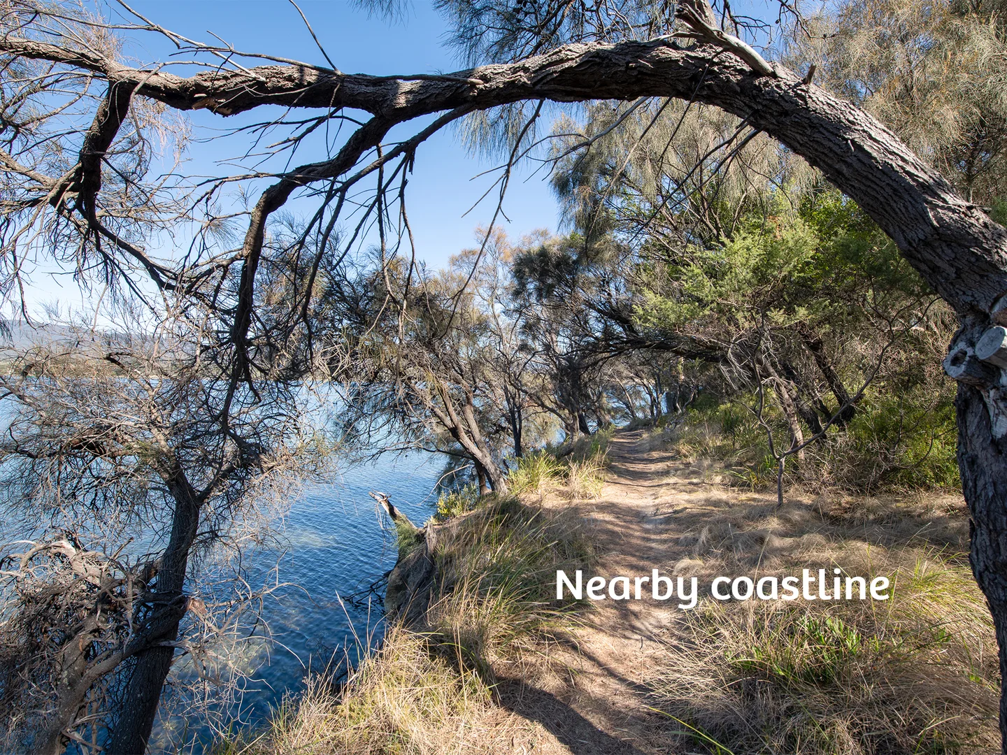 Additional image 13 of 9 Fenton Court, Howden TAS 7054