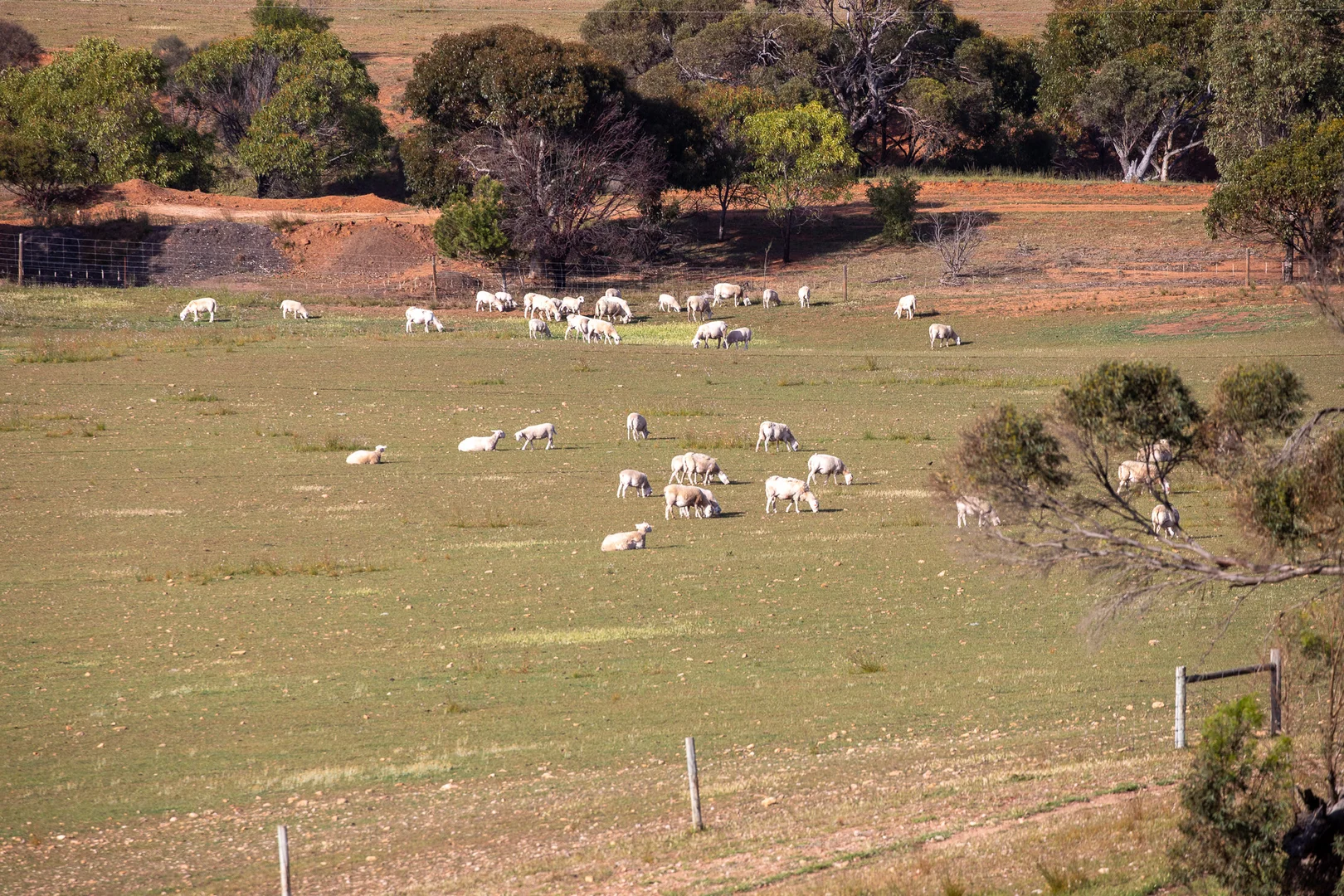 Additional image 13 of Lots 99 & Bawdens Road, Lipson SA 5607