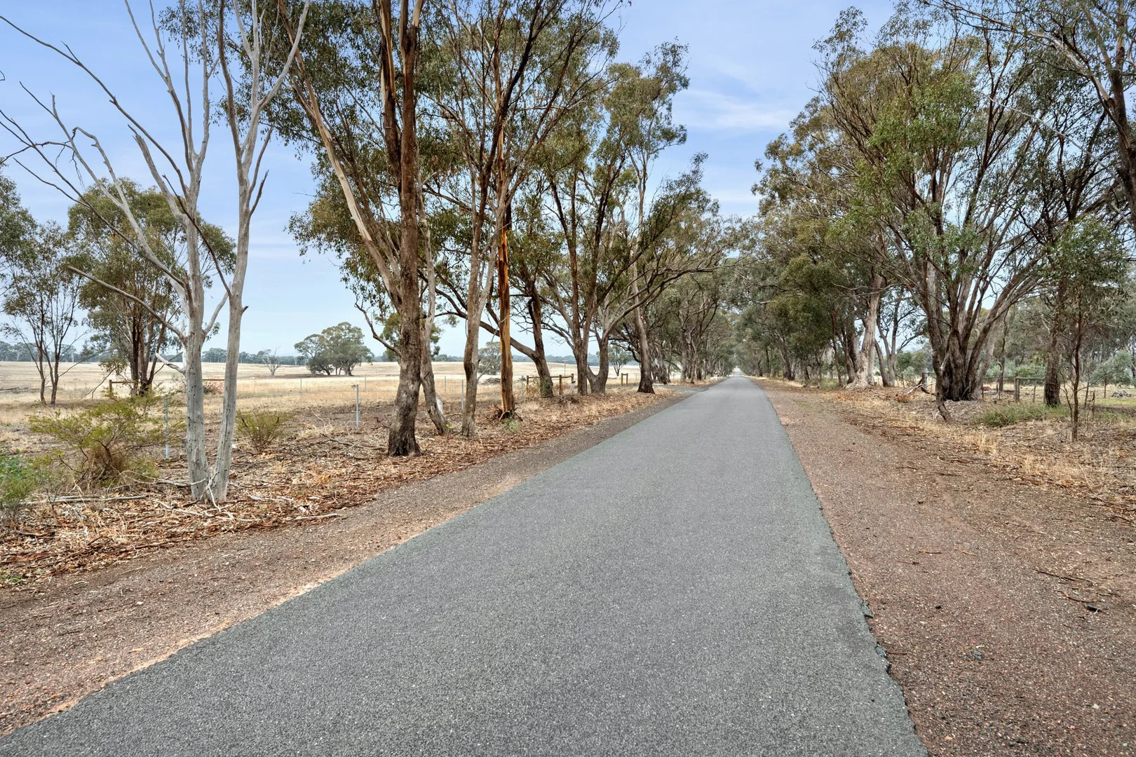 Additional image 7 of 301 Pethericks Road, Goornong VIC 3557