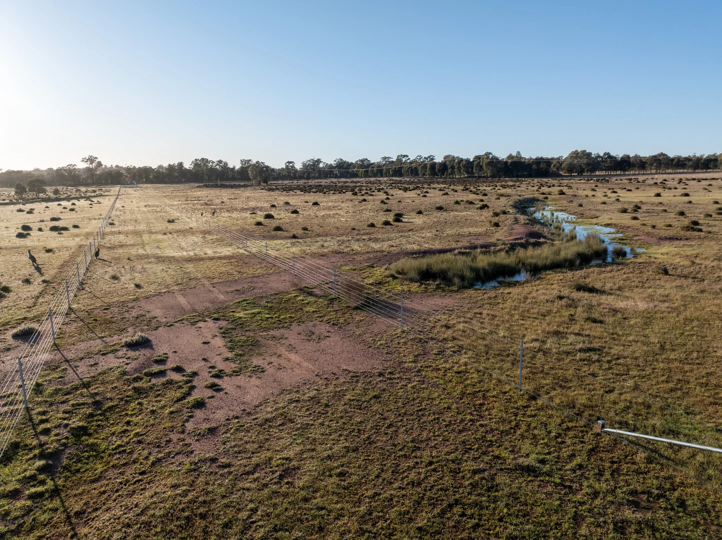 Additional image 10 of Lagoon Creek Road, Minore NSW 2830