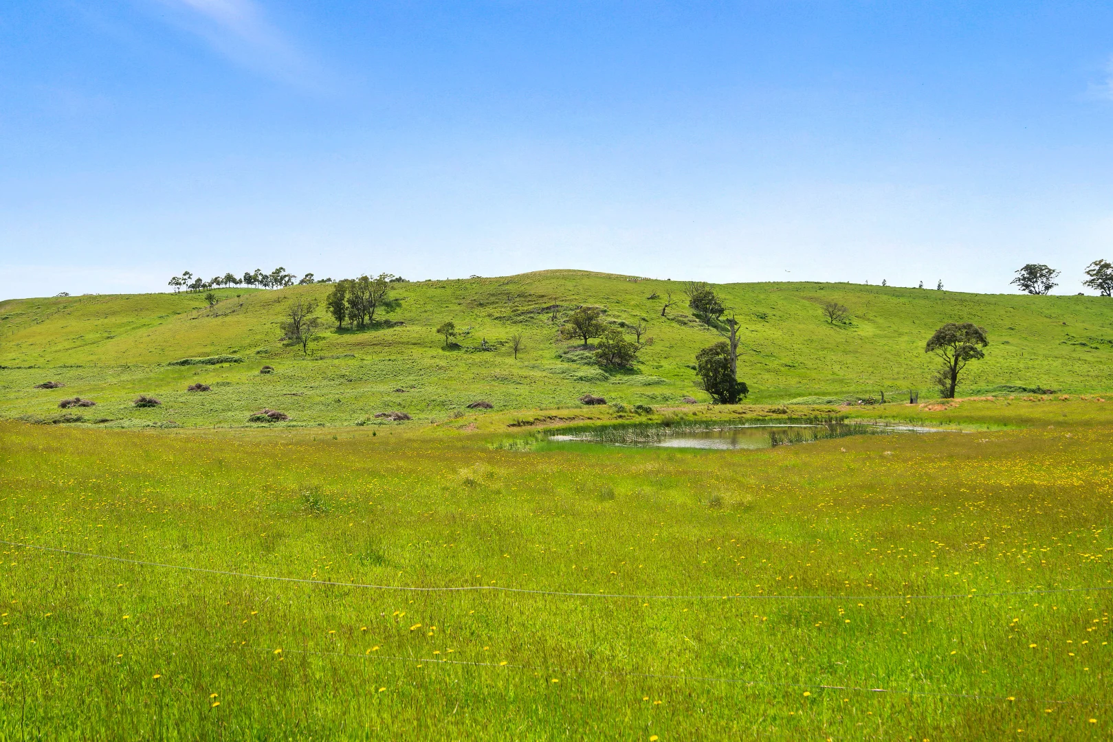 Additional image 12 of 373 Sallys Corner Road, Exeter NSW 2579