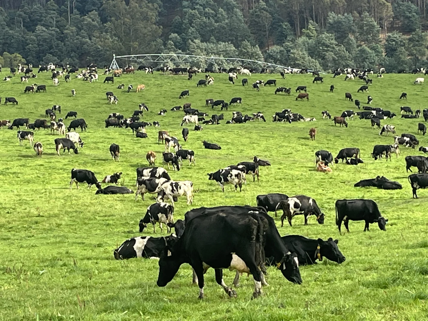 Additional image 7 of 630 Ten Mile Track, Springfield TAS 7260