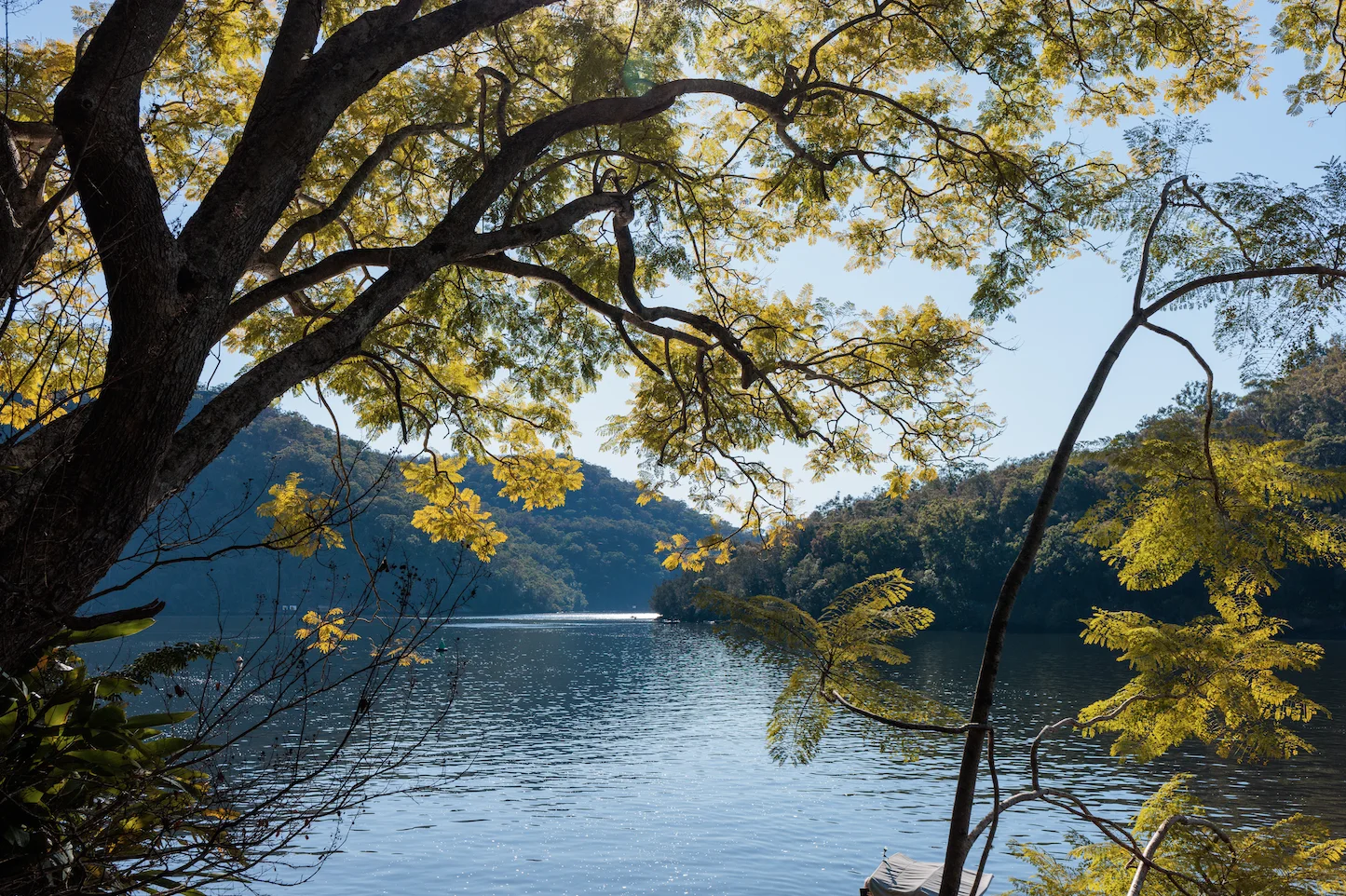 Additional image 8 of Lot 7/31 Calabash Point, Berowra Waters NSW 2082