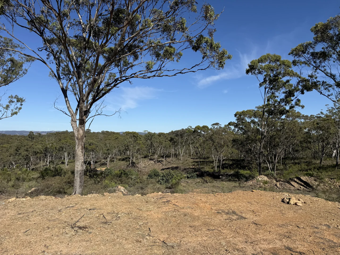 Additional image 11 of 157 Blakney Creek North Road, Bevendale NSW 2581