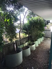 Additional image 14 of 45 Richmond Street, Lawrence NSW 2460