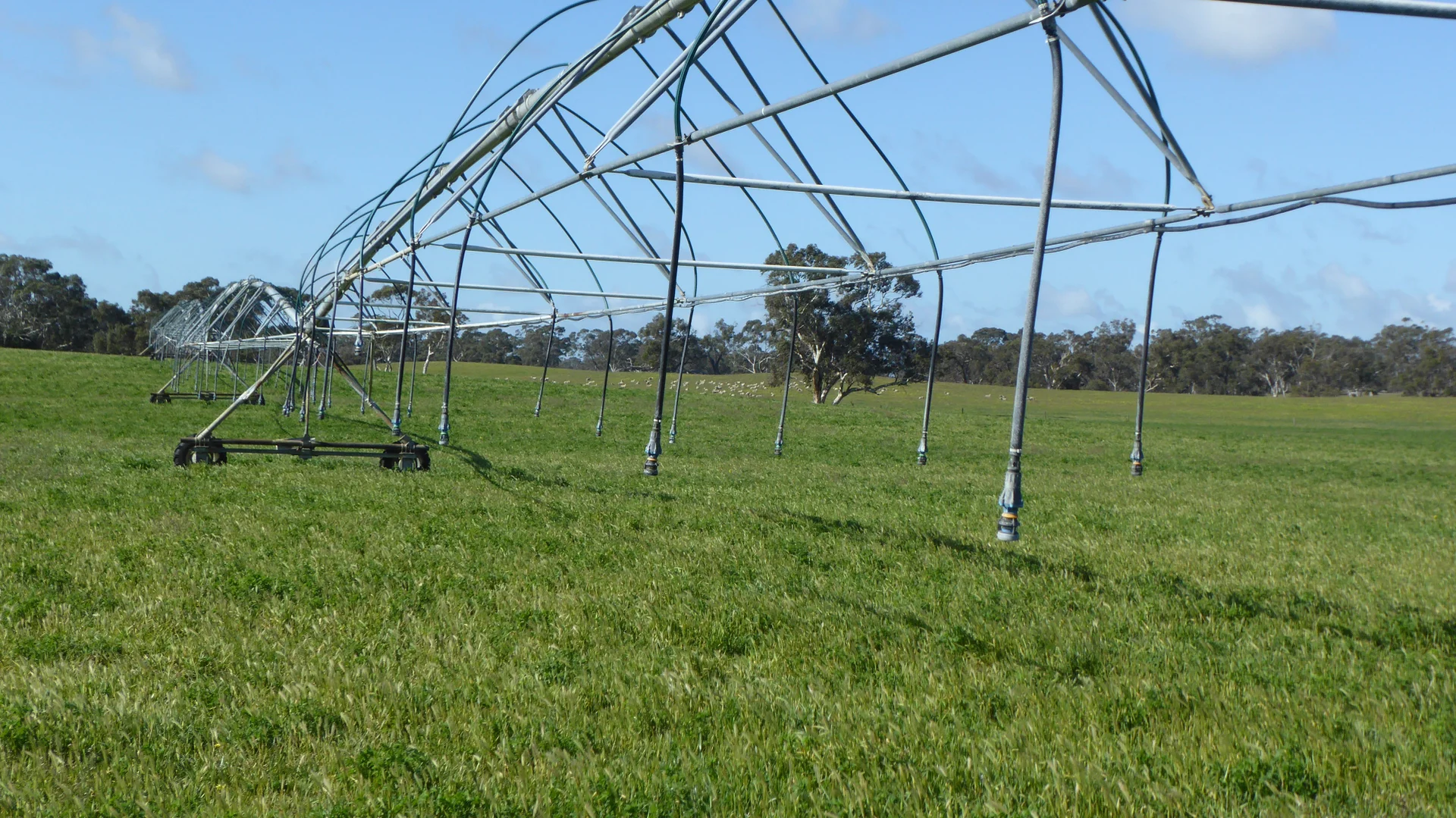 Additional image 26 of "Wyruna" 2989 Naracoorte Road, Western Flat SA 5268