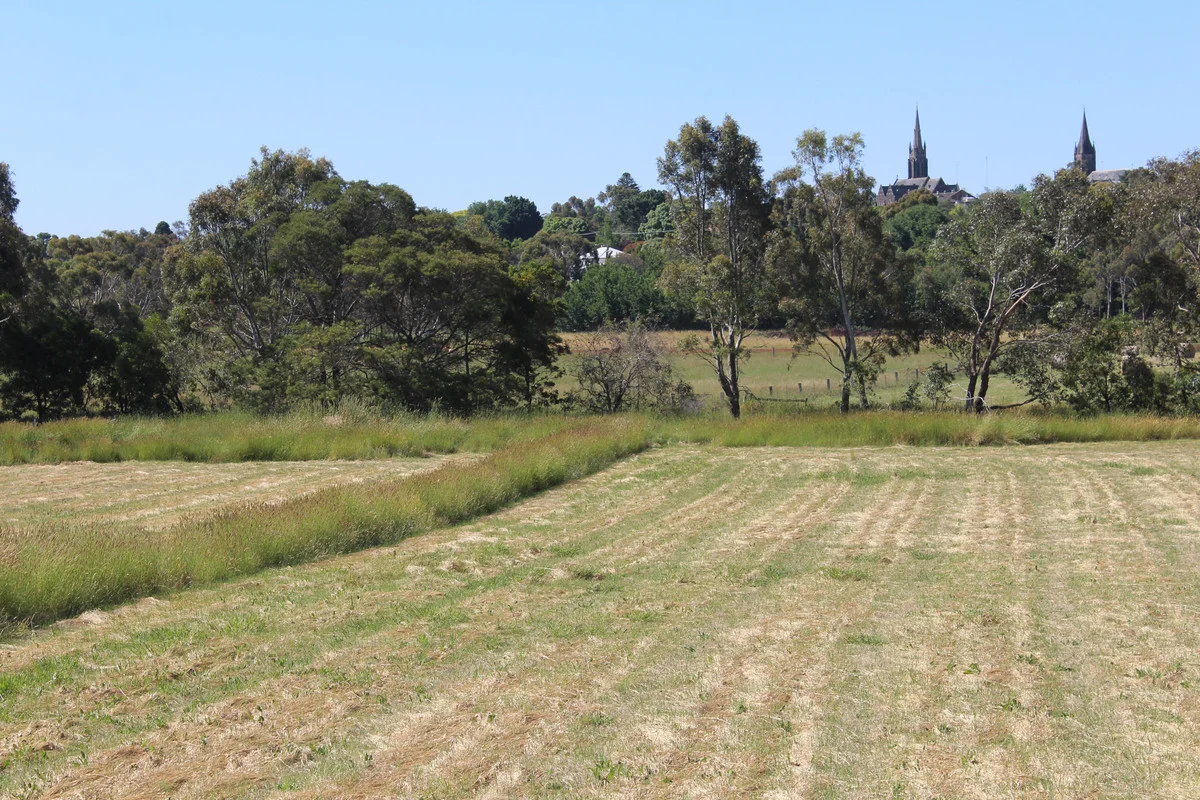 Additional image 6 of 71 Lodge Road, Hamilton VIC 3300