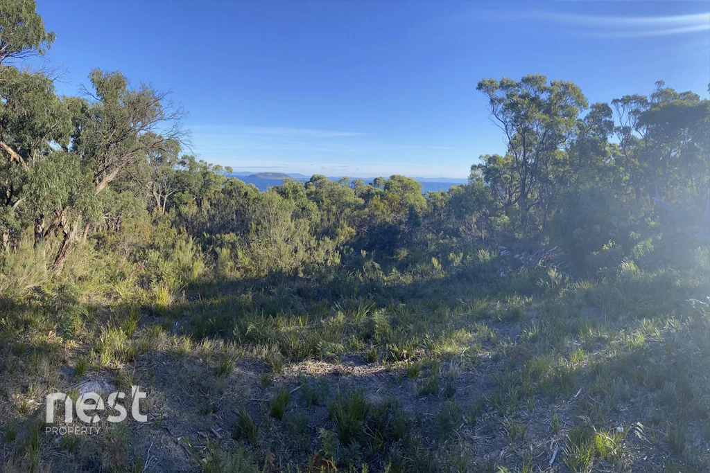 Additional image 10 of 156B Apex Point Road, White Beach TAS 7184