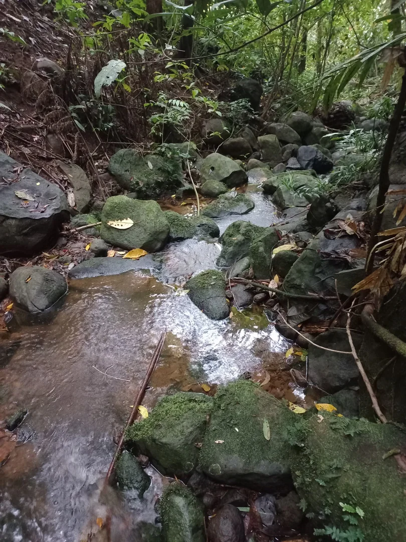 Additional image 11 of 516 Brooks Road, Mungalli QLD 4886