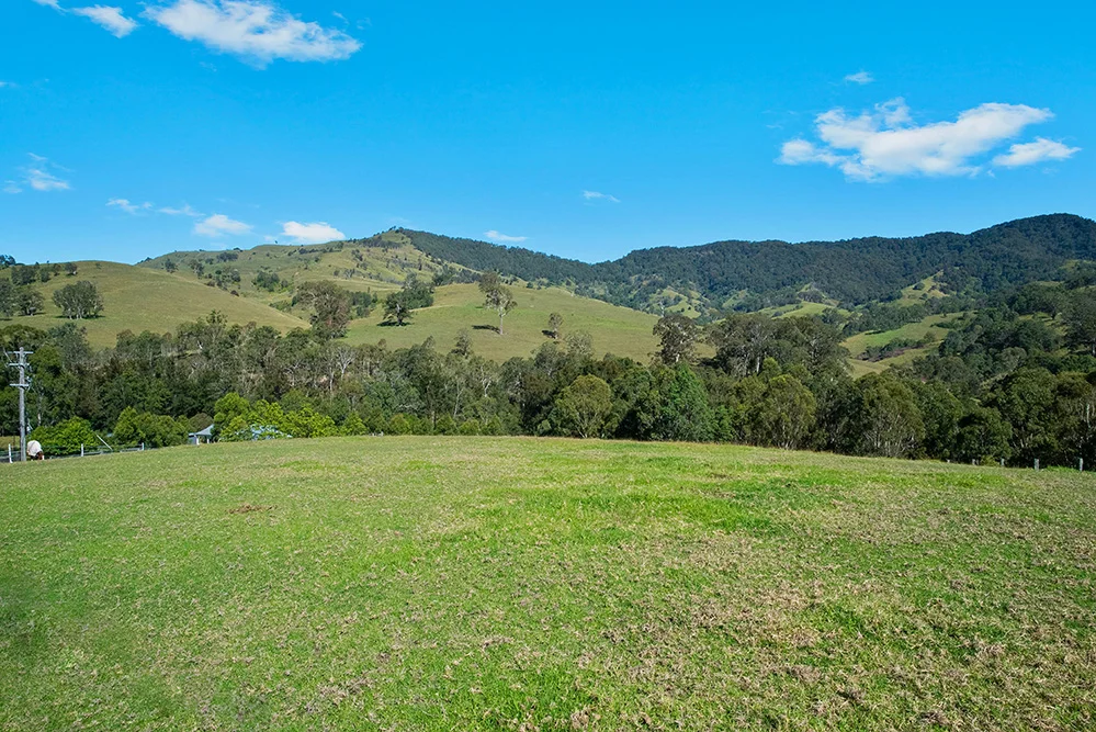 Additional image 17 of 3243 Paterson River Road, Carrabolla NSW 2311