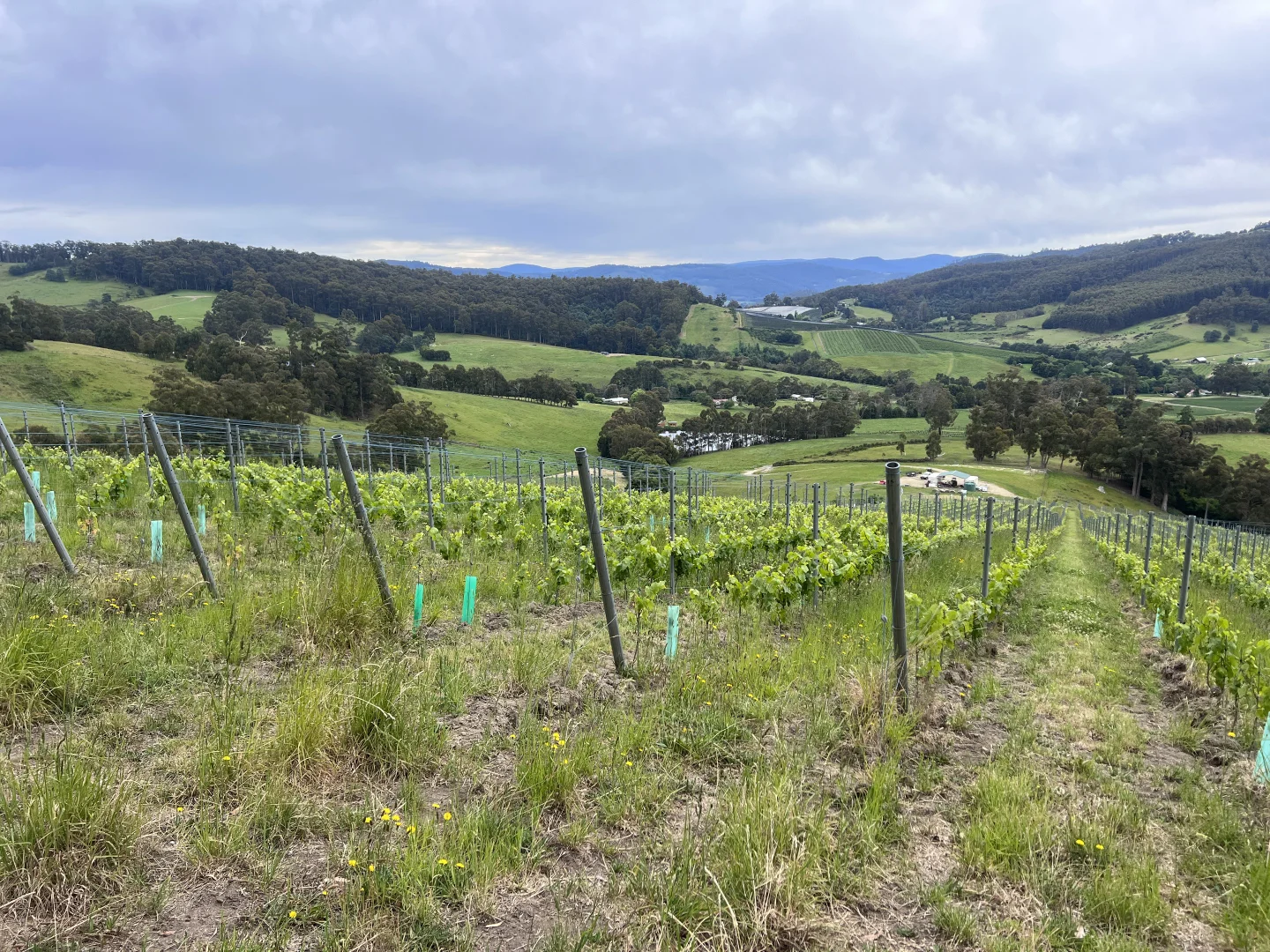 Additional image 21 of Lot 1 Wallace Road, Cygnet TAS 7112