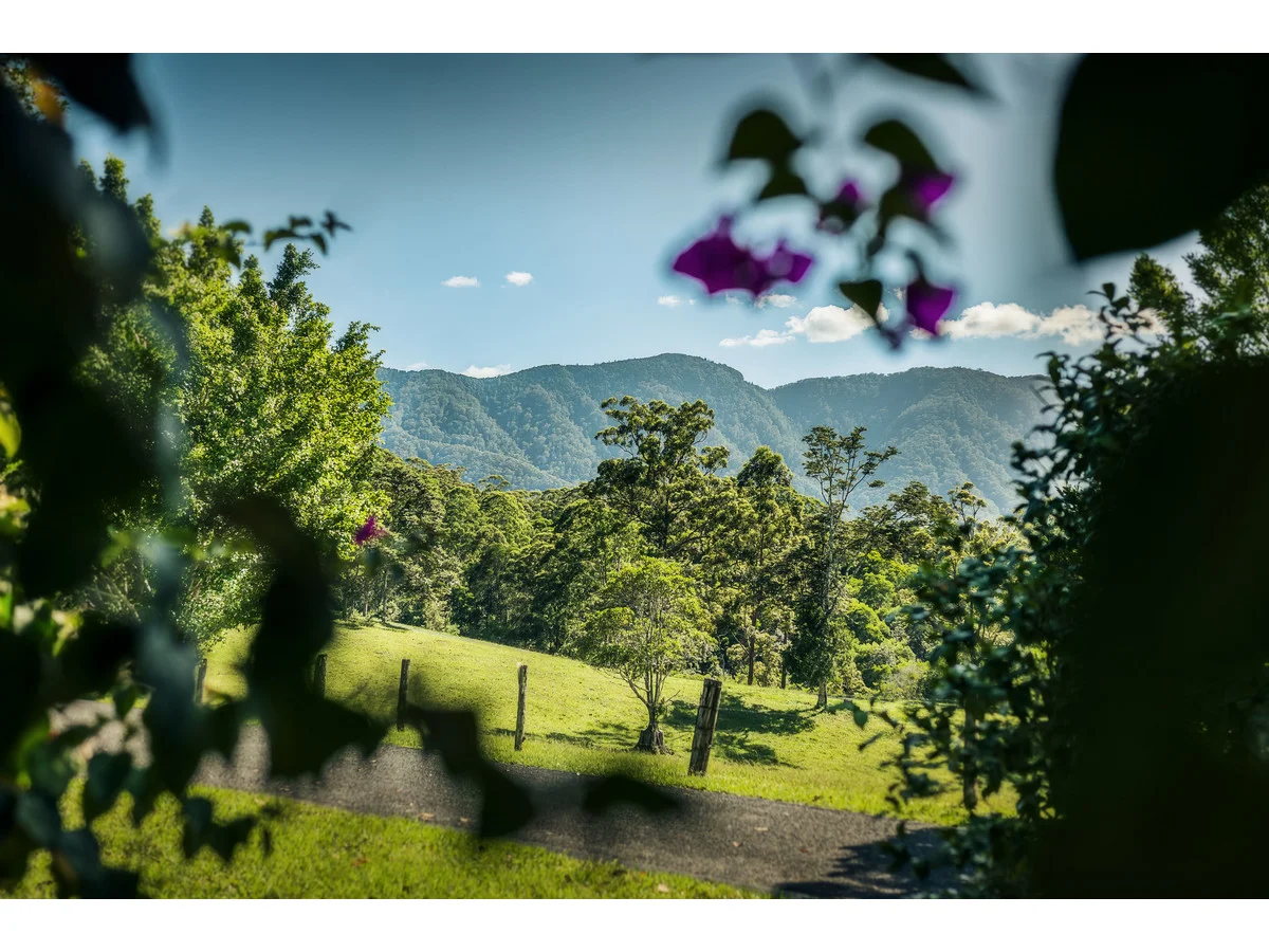 930 promised land Road, Bellingen NSW 2454