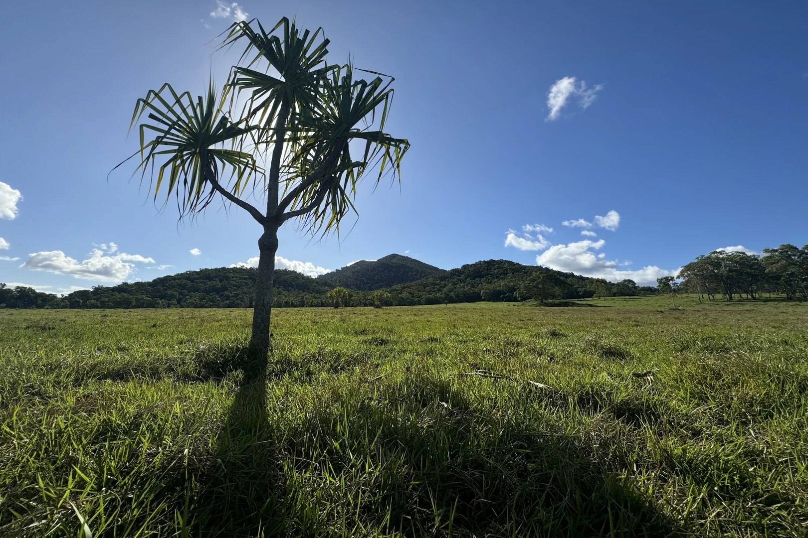 Additional image 9 of MARLOW Rifle Range Road Hidden Valley, Preston QLD 4800
