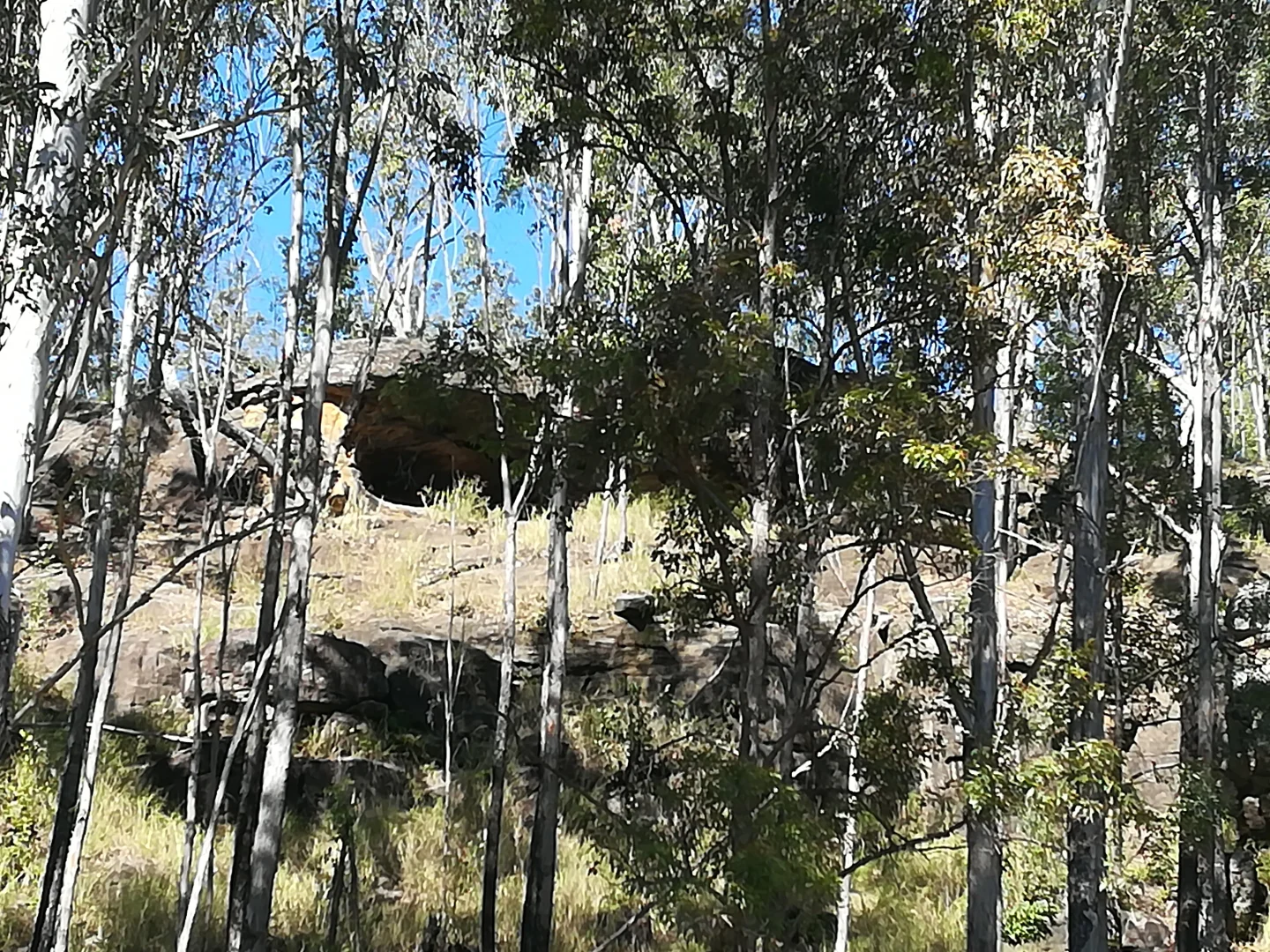Additional image 6 of 123 Old School Road, Busbys Flat NSW 2469