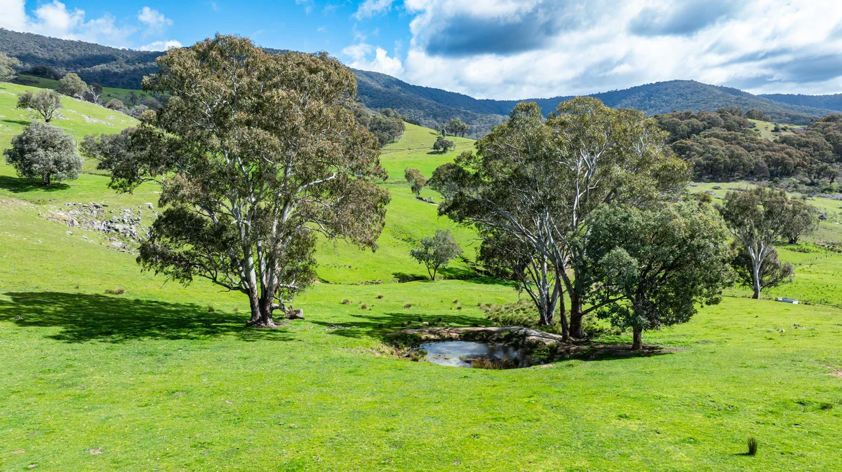 Additional image 7 of 2 Hibbersons Road, Tallangatta South VIC 3701